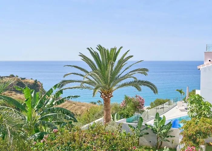 Wonderful Burriana *