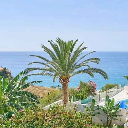 Wonderful Burriana *