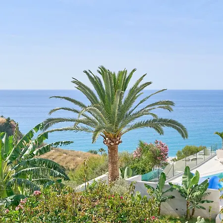 Wonderful Burriana *